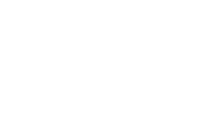 line drawing of nail plug with the words 'anchoring systems' at the top and 'fix' at the bottom