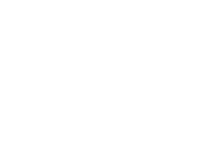 line drawing of spirit level with the words 'professional measuring tools' at the top and 'position' at the bottom